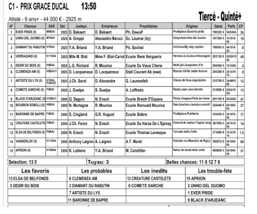 مراهنة التيرسي في المقاهي